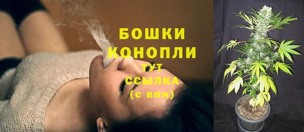ECSTASY Сафоново