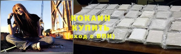 шишки Баксан