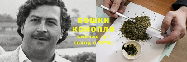 шишки Баксан