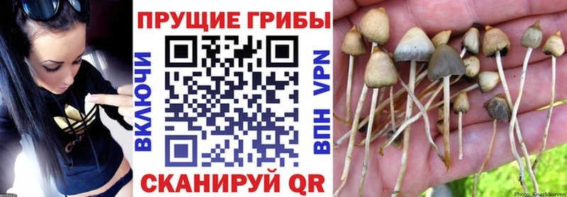 что такое наркотик  Семилуки  Галлюциногенные грибы мухоморы 