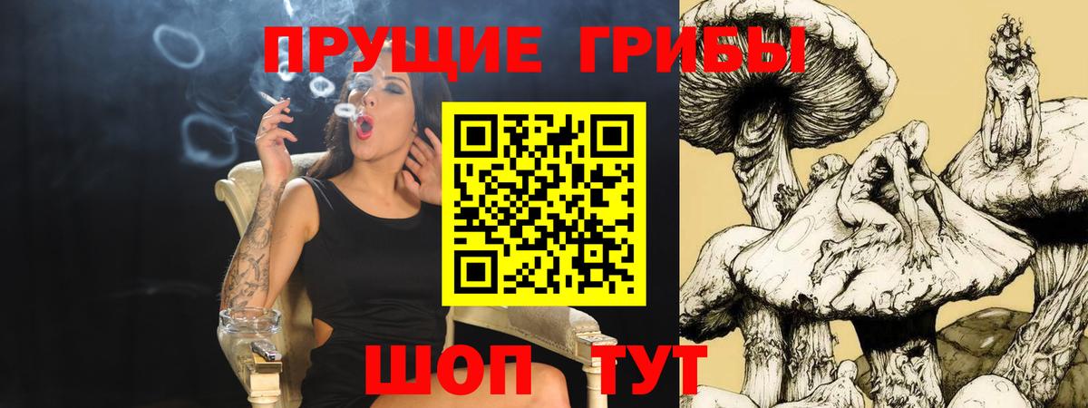 Семилуки  Галлюциногенные грибы Psilocybine cubensis  Вход с VPN 