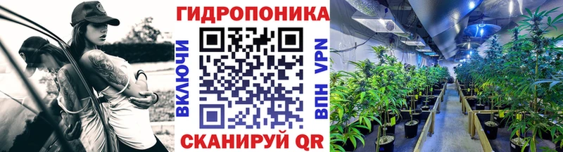 Каннабис Amnesia  OMG онион  Семилуки 